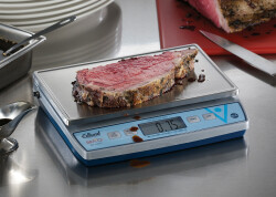 Digital portionerings våg, Edlund BRV-480