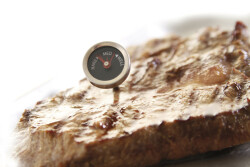 Köttermometer från Hendi