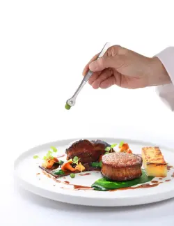 Pincett med runt huvud - s.s. 305 mm