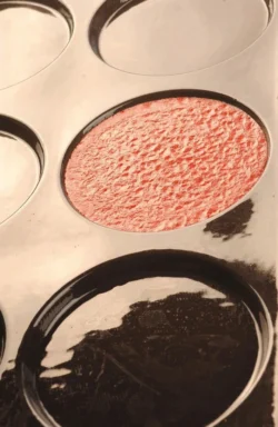 Flexipan 15 florentinerformar för 10,2 cm diameter och 2 cm höjd