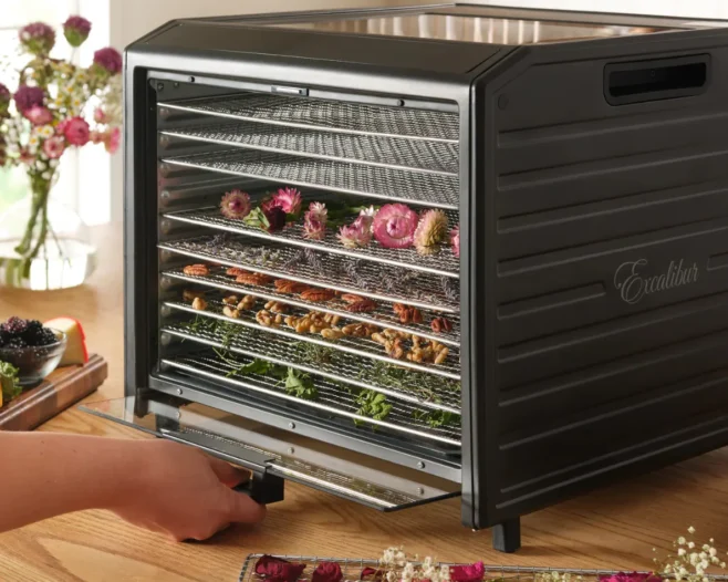 Dehydrator 10-brickor Performance serien Digital - Excalibur